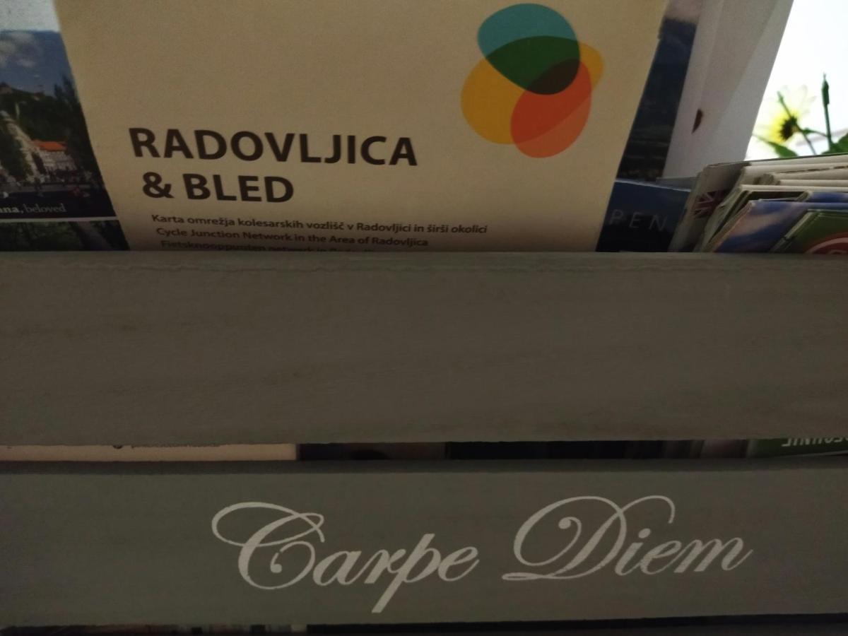 Apartma Peter1A Begunje na Gorenjskem Zewnętrze zdjęcie